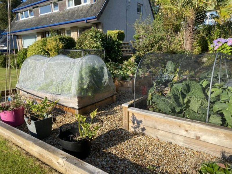 In the Garden With Kathy Edwards Blog 2